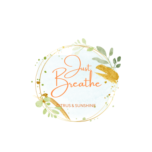 eenheden 24-pack/10-ounce Mason-potten met deksels voor groothandel op Faire6