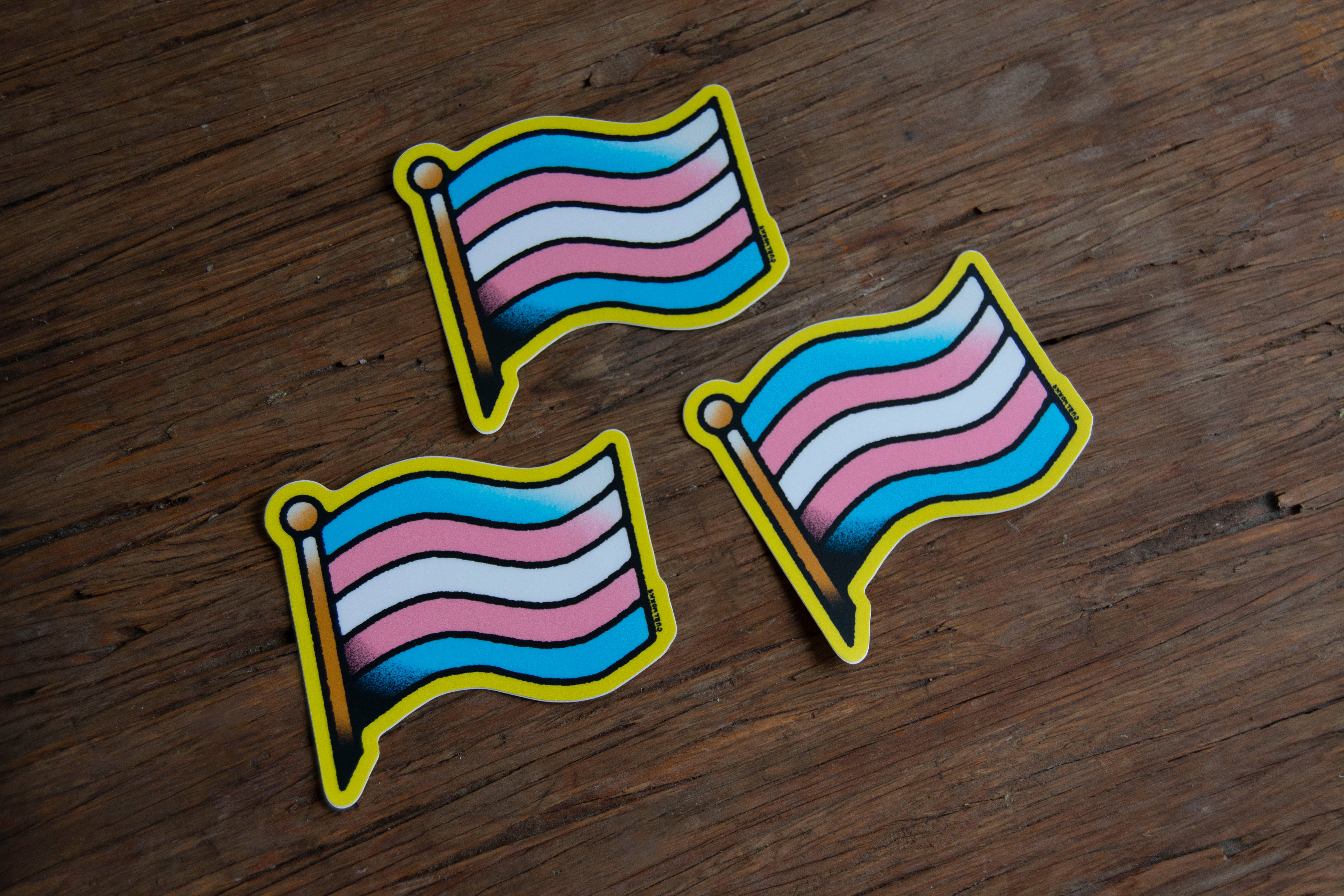 Curlworks - Wholesale Sticker - Trans Pride Flag Vinyl Sticker1