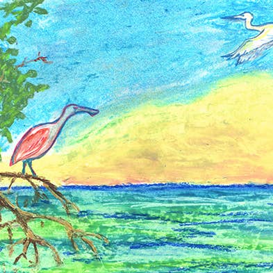 Everglades Morning Commute Spoonbill Heron Fine Art Canvas Print for wholesale by William DePaula Fine Art