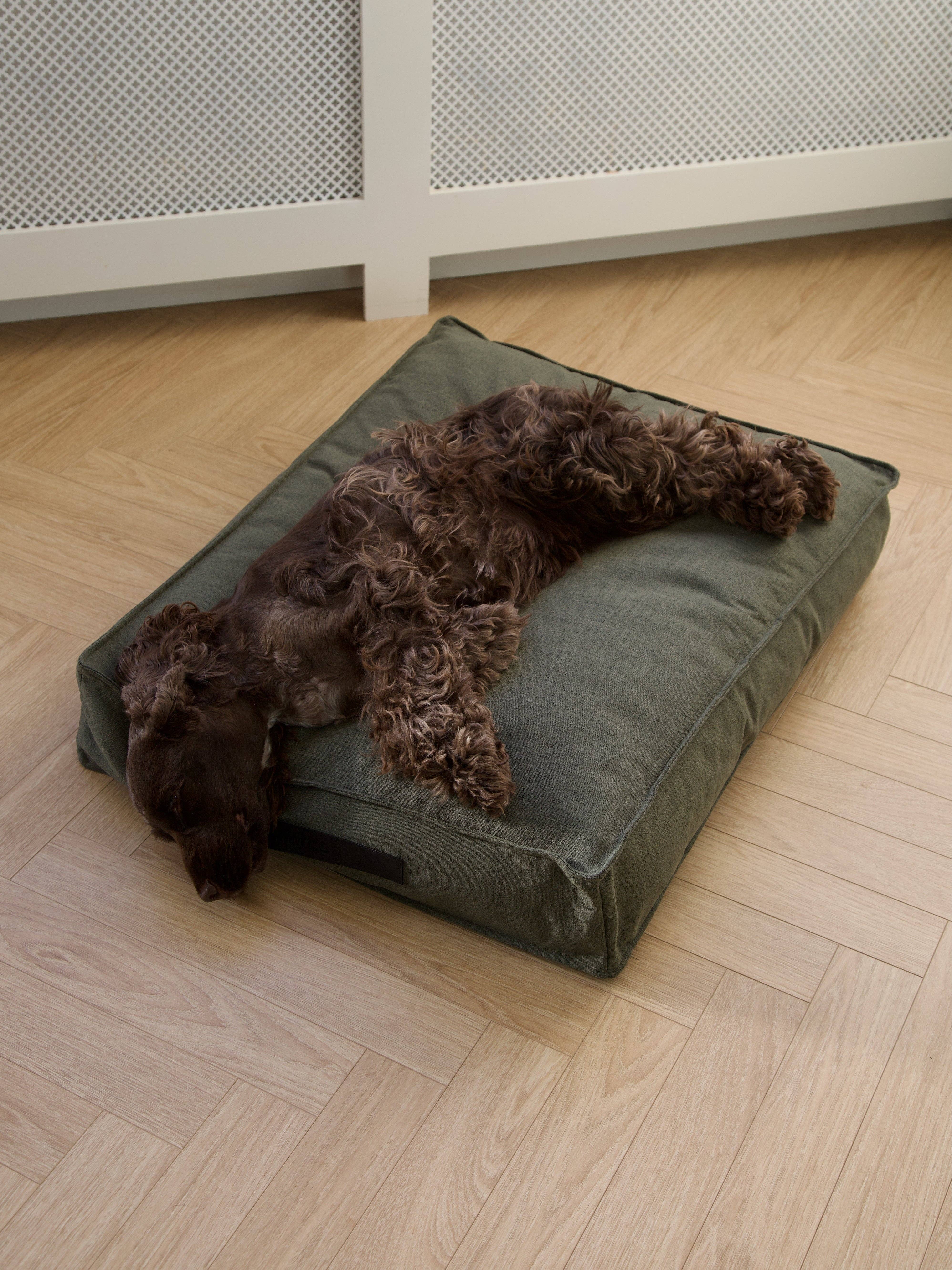 Forrest Coussin pour chien Hygge Forrest en vente sur Faire3