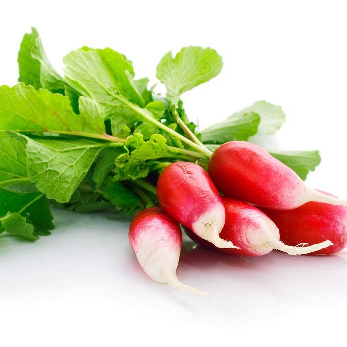 Sow True Seed - Wholesale Plant Seeds - Radish Seeds - French Breakfast4