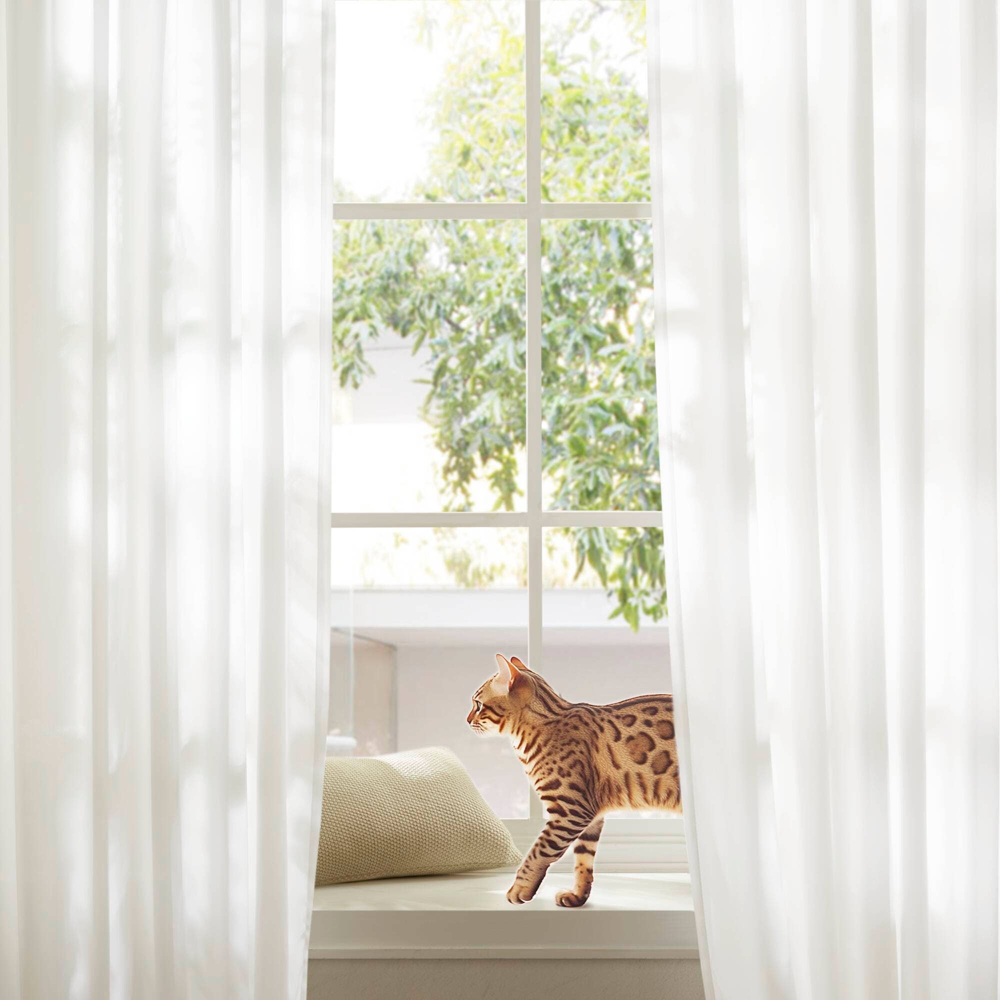 Olliix - Wholesale Curtain - Semi-Transparent White Light Filtering Privacy Curtain Pair15