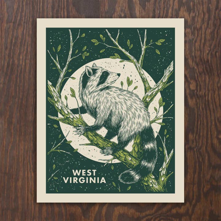 West Virginia Raccoon for wholesale by Logan Schmitt Illustration