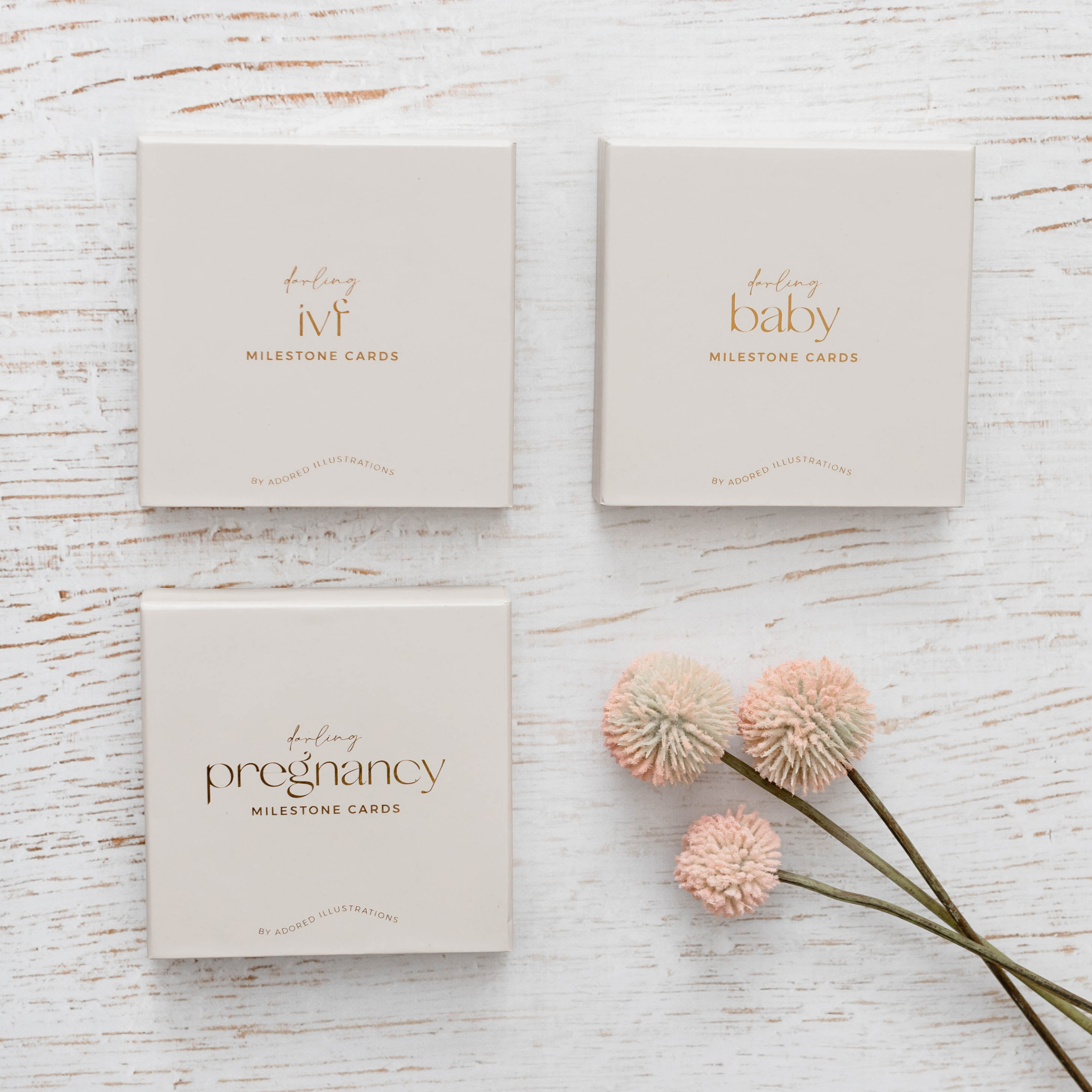 Adored Illustrations - Vente Illustration événement/souvenir - Enfant et bébé - Cartes étapes clés du parcours FIV Darling6