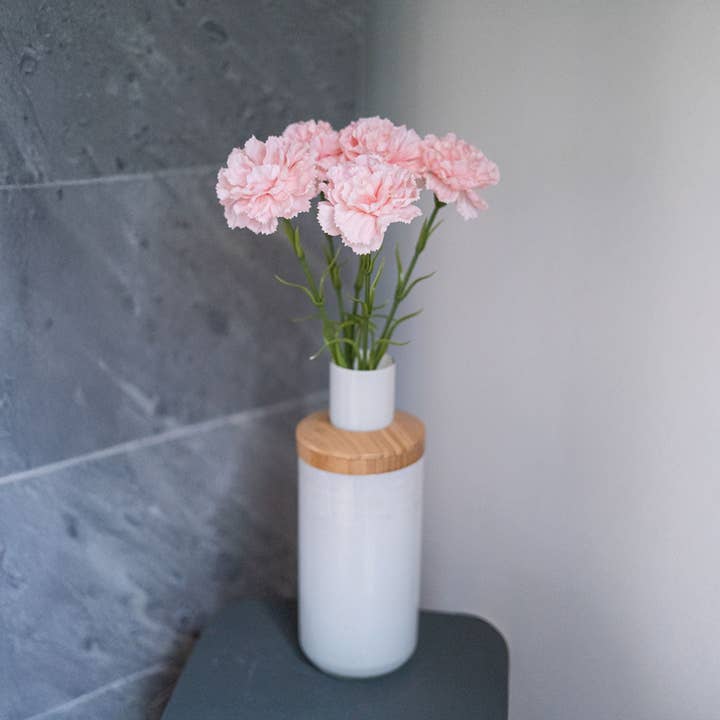 powder-pink carnation for wholesale by Flowrette