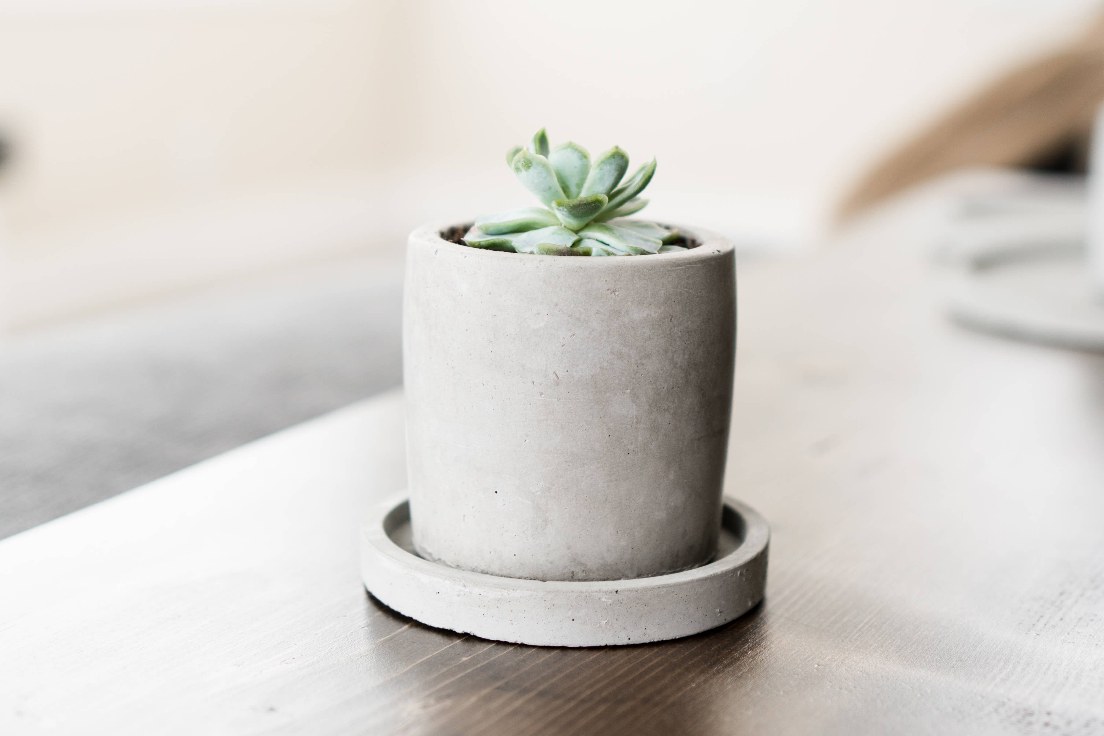 Made by Deborah - Wholesale Plant Pot - Small Concrete Pot - No Holes
