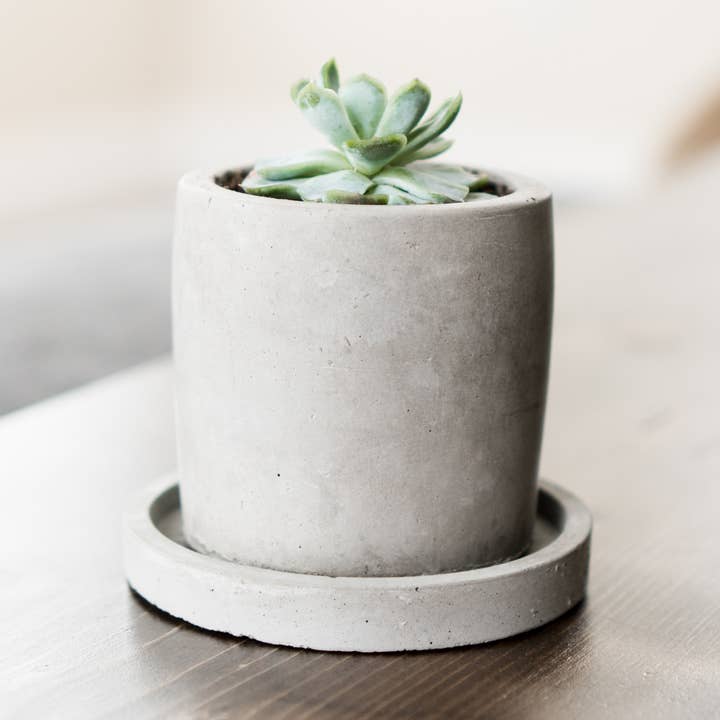 Made by Deborah - Wholesale Plant Pot - Small Concrete Pot - No Holes0