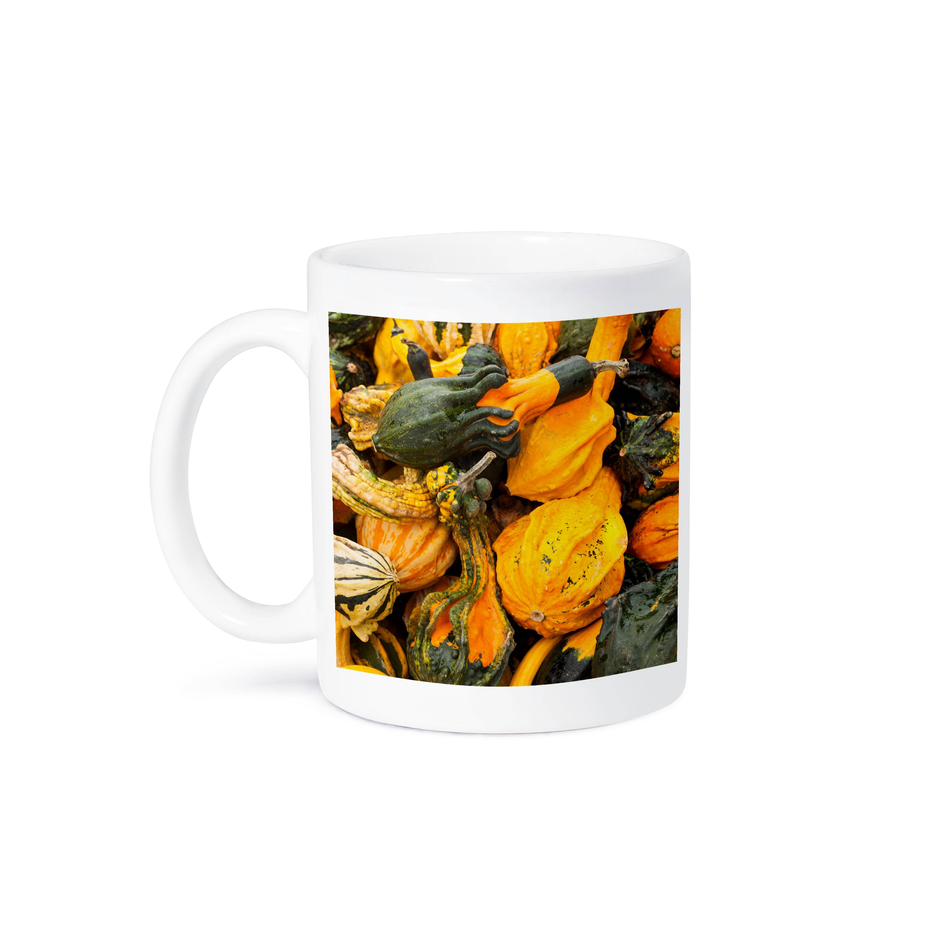 3dRose - Wholesale Coffee Mug - 3dRose, Germany, Ludwigsburg, Bluhendes Barock Gardens, fall, squash, Mug8
