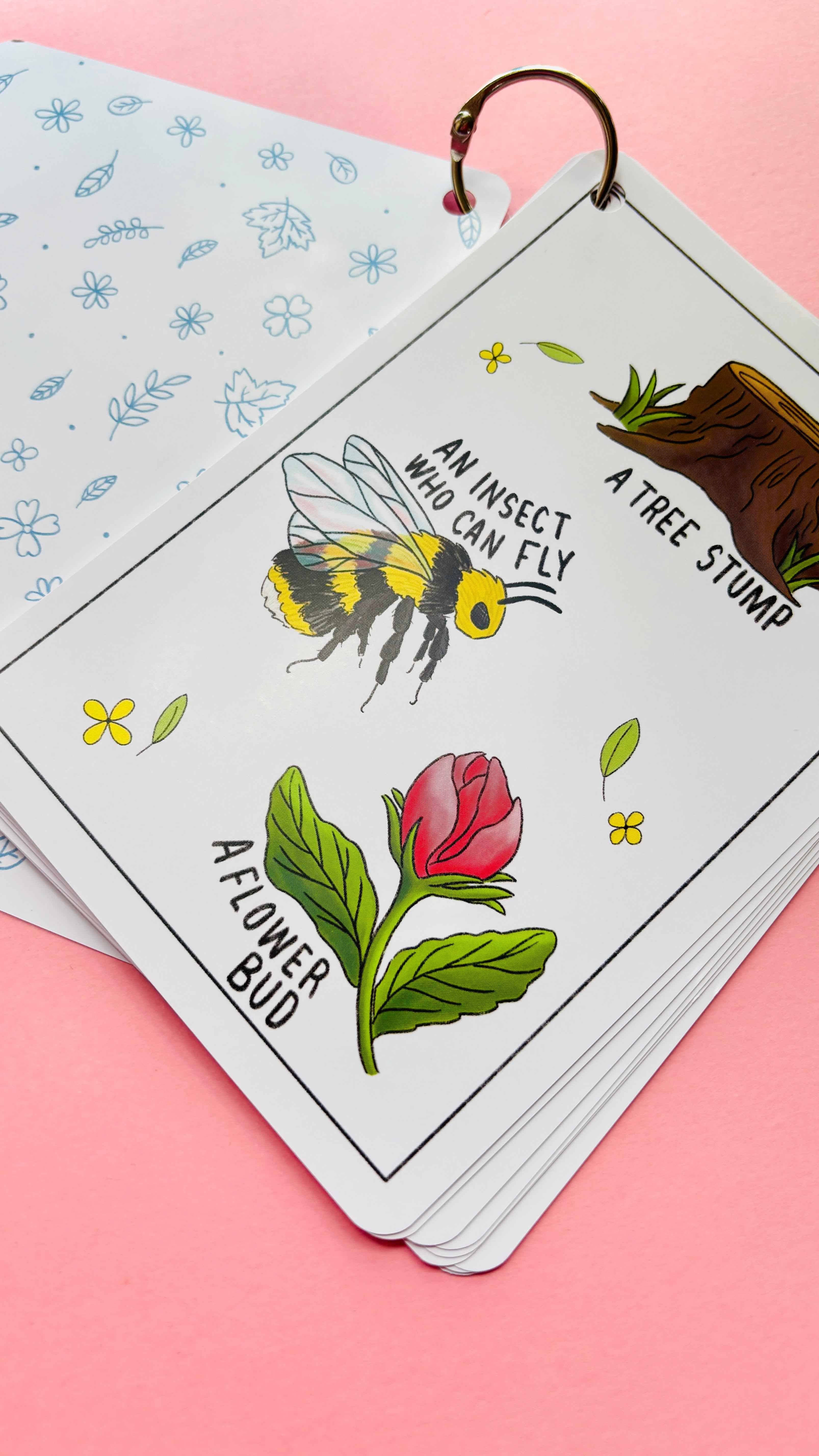 Pixiecraft - Wholesale Learning Cards - Kids & Baby - Nature Explorer Scavenger Hunt Cards- Illustrated Educational Activity Cards for Kids1