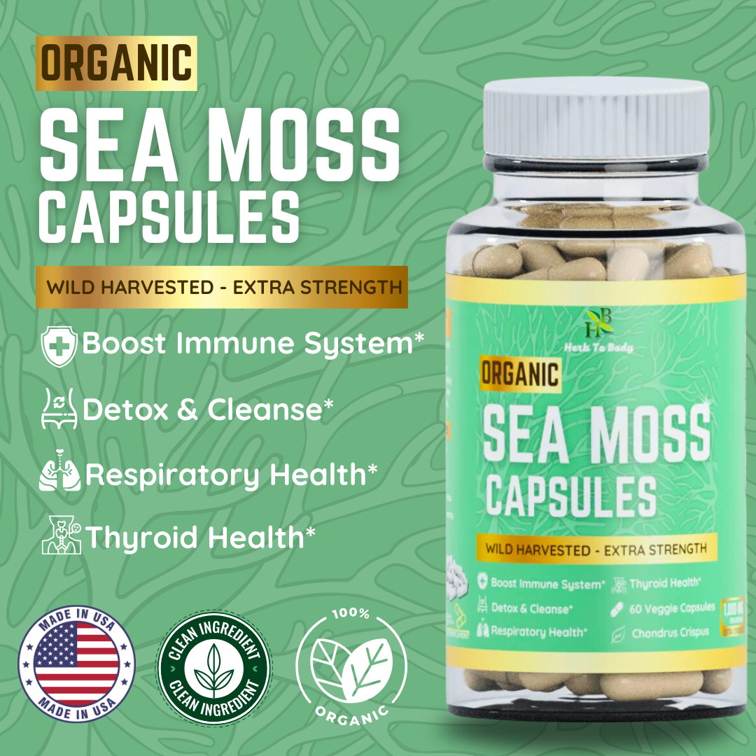 Herb To Body - Wholesale Oral Supplement/Vitamin - Organic Sea Moss Capsules (60 Cap) | Vitamins & Mineral Rich5