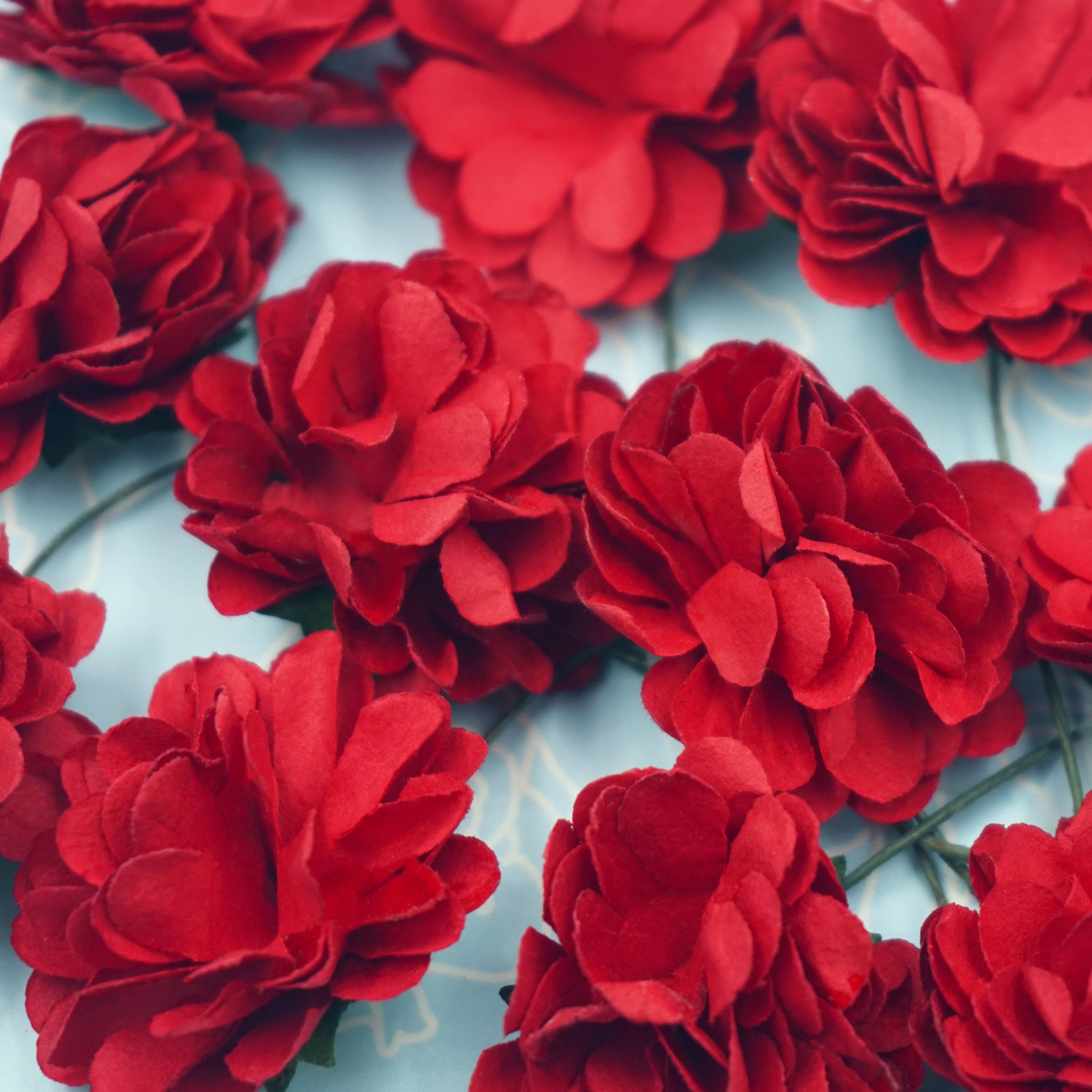 Angels Craft - Venta al por mayor Flores artificiales - Flores de papel (Zinnia) con alambre, 12 quilates y 1,57 pulgadas9