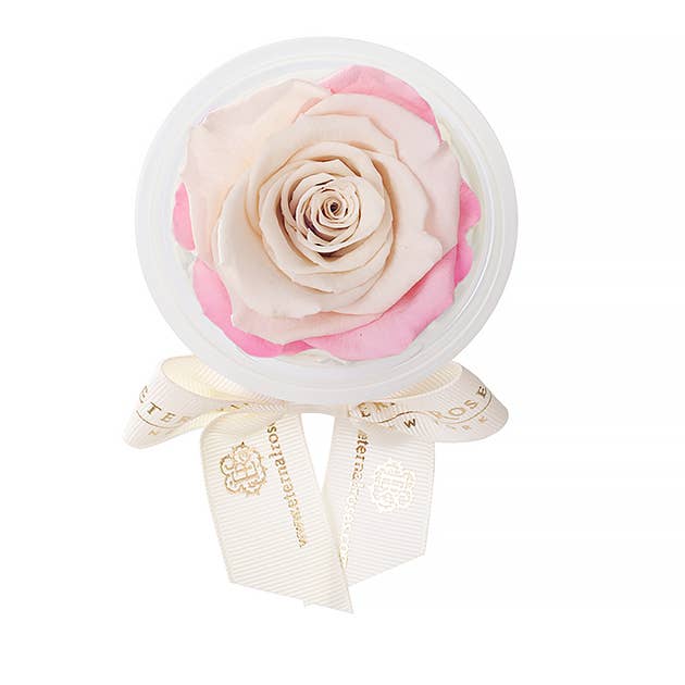 Eternal Roses® - Wholesale Party Favor - Eternal Rose Party Favors14