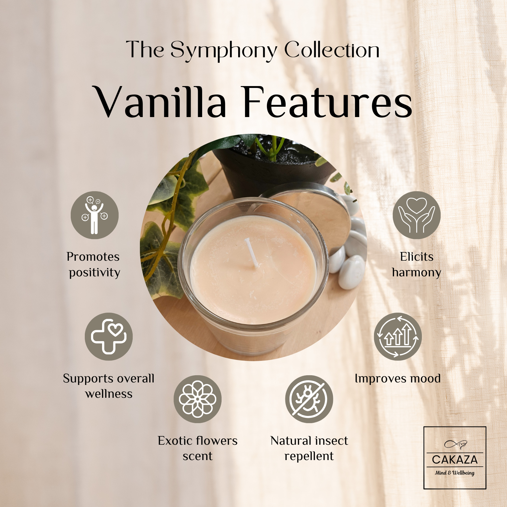 Cakaza – wholesale Jar/filled candle – Symphony Collection: Vanilla Candle3