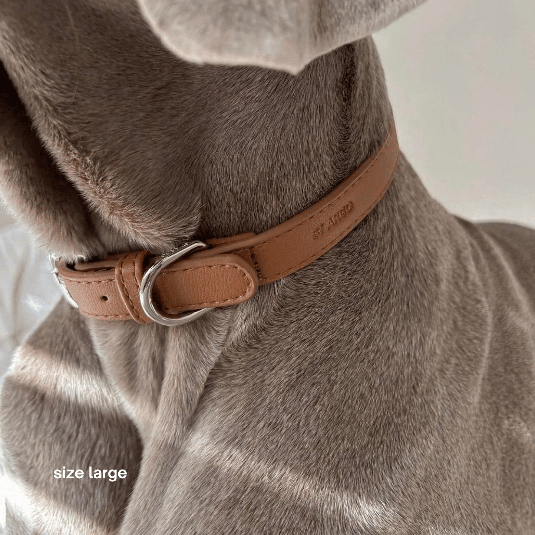 ST ARGO – Engroshandel Halsbånd - Hund – COLLAR - Brun hundehalsbånd3