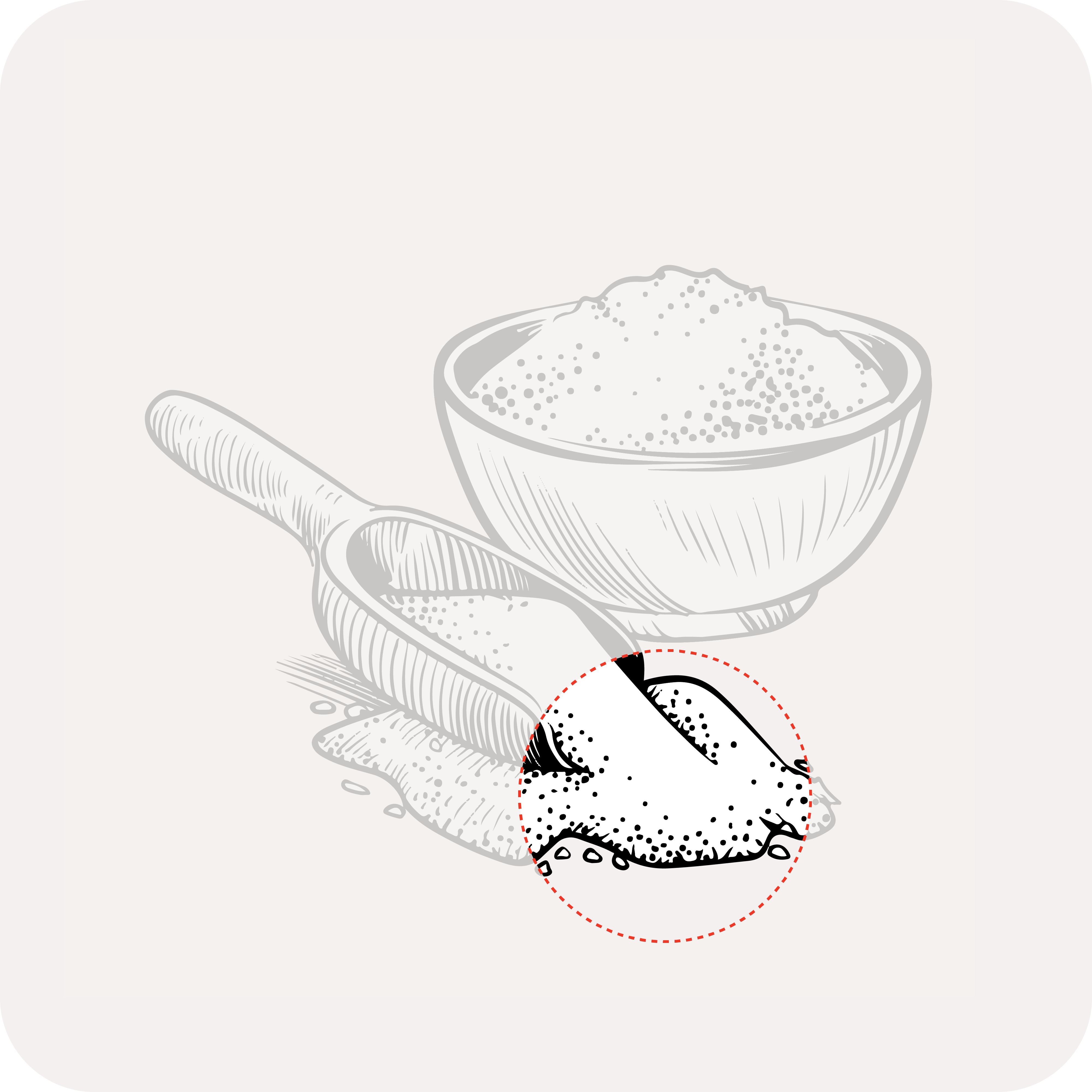 Joon Spice - Wholesale Salt - Khwera Fine Pink Salt4