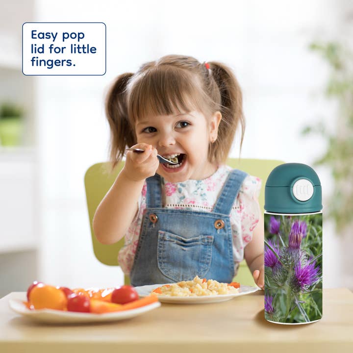 3dRose - Wholesale Water Bottle - 3dRose, Thistle Flowerhead - Syrian Thistle,Notobasis syriaca, Scotland, agavanos, purple flower, Flowerhead, Kids Water Bottle7