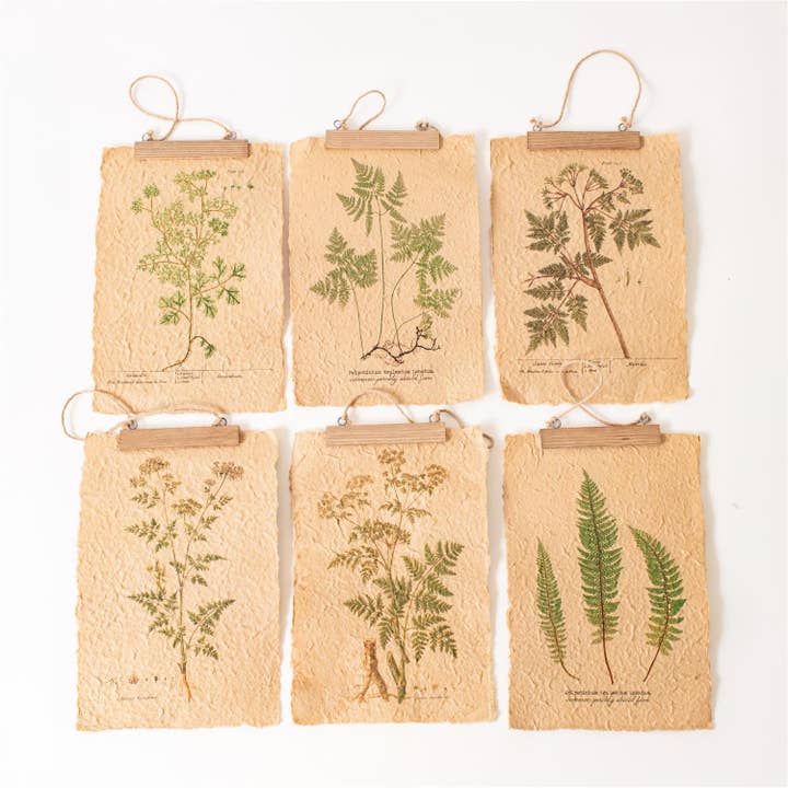 Wall Art - Ferns On Distressed Paper (6 Designs) for wholesale by Audrey's Home & Gift