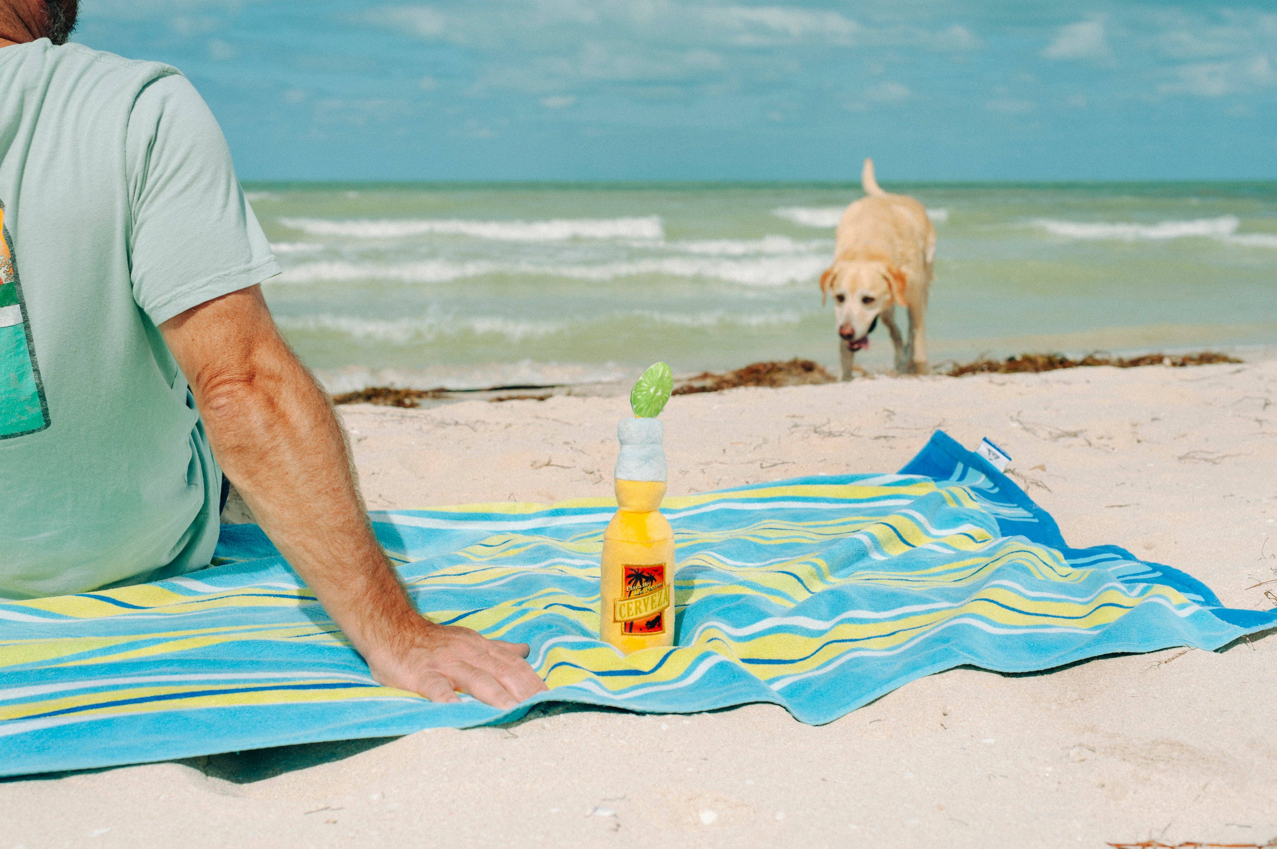 In Vogue Pets – wholesale Pet plush toy – Dog – Tropical Paradise Canine Cerveza5