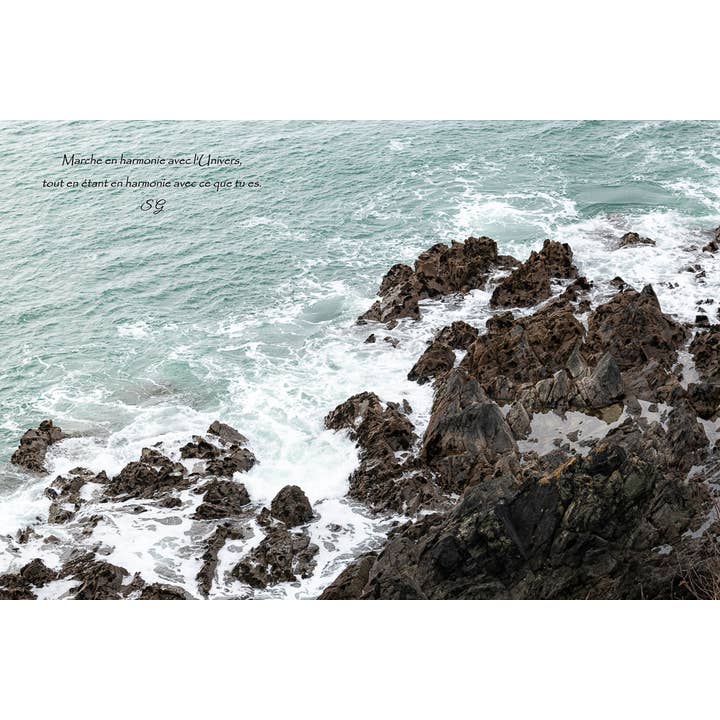 Yin et Yang pour la vente par L'Ecriture D'Un Regard