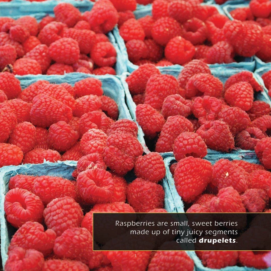 My Incredible World – wholesale Natur och friluftsliv – Hallon! En Min Otroliga Värld Bilderbok för Barn1