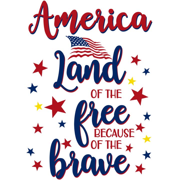 Strofinaccio da cucina «America, la terra dei liberi» per la vendita all'ingrosso da parte di Distinctive Design Wholesale