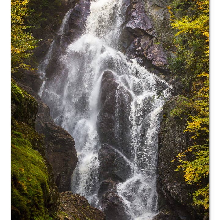 Roaring Angel Falls Glaspanel av Chris Whiton för wholesale av American Brand Studio