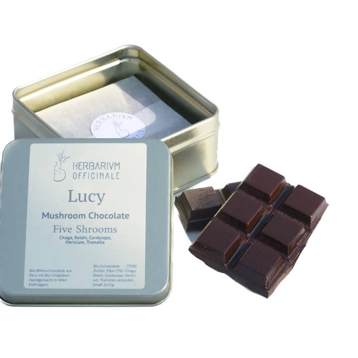 Five Shrooms - Chocolate con champiñones para venta al por mayor de herbarium-officinale