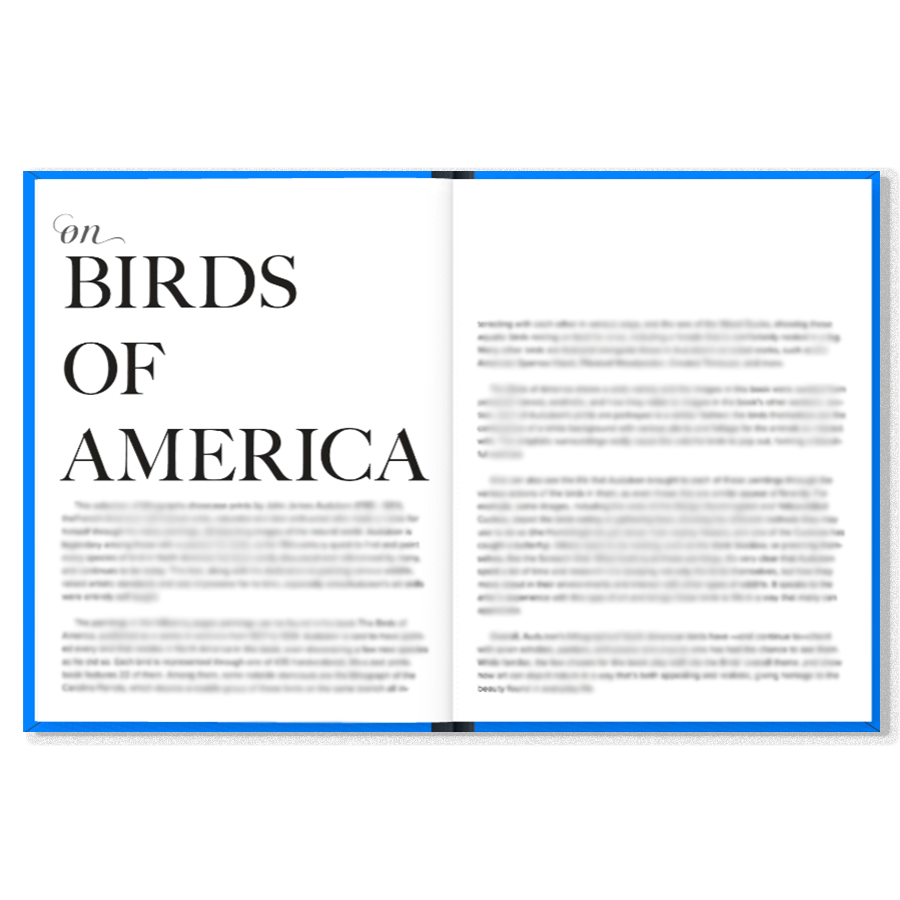 K.Co Press - Wholesale Book - Adult - COMING SOON | Birds1