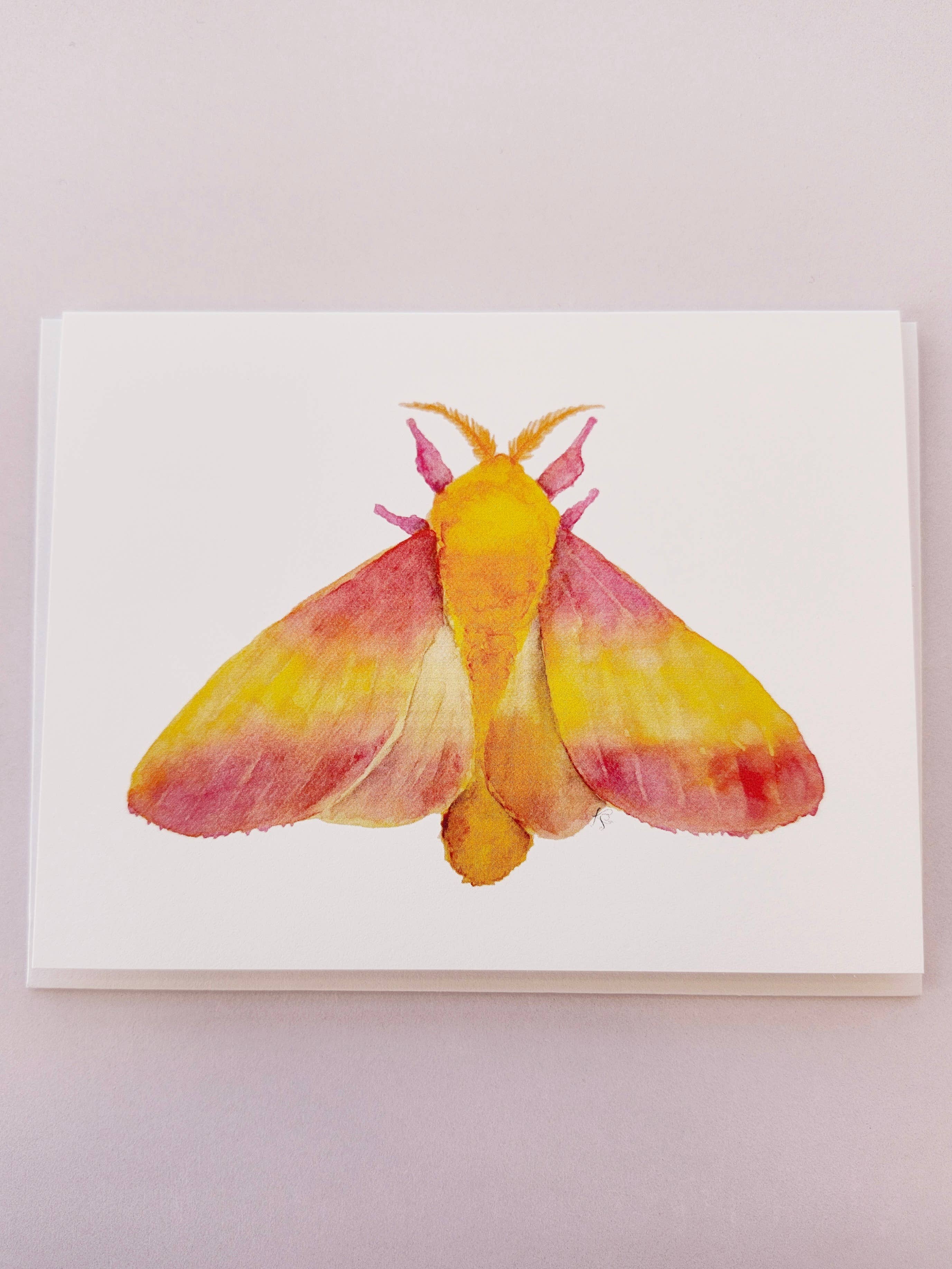 Redbriar Studio - Wholesale Stationery/Notecard Set - Notecards28