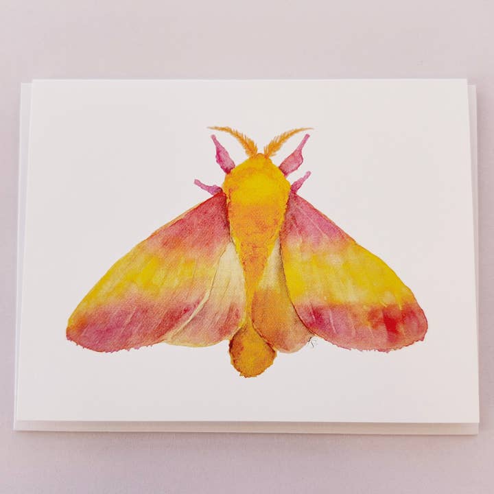 Redbriar Studio - Wholesale Stationery/Notecard Set - Notecards28