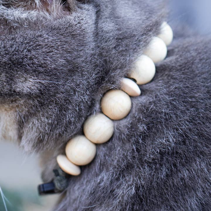 Dandys pour animaux de compagnie parfaitement pattes pour la vente par Brown Blackwell