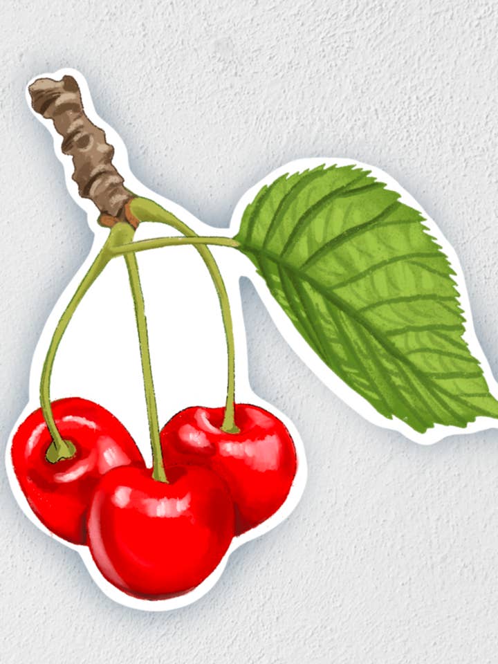 Cherries On Stem Sticker | Waterproof | Fruit Sticker for wholesale by Little Rocks Design
