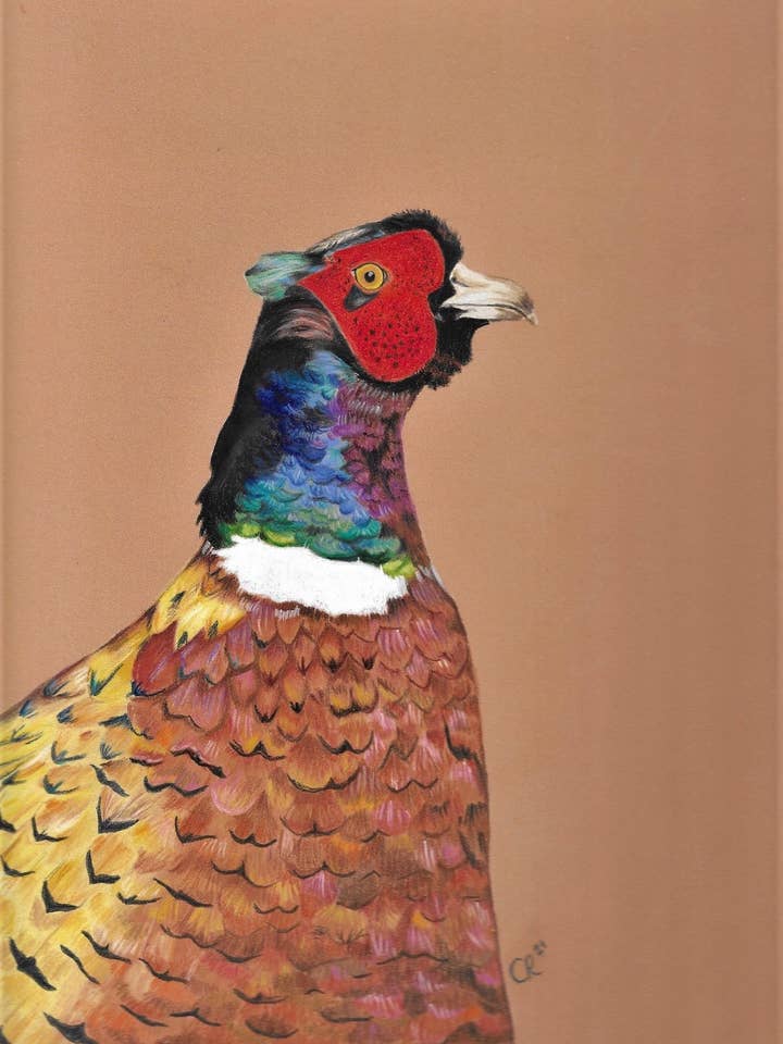 A6 Pheasant card, biofilm wrapper for wholesale by CatRogersArt