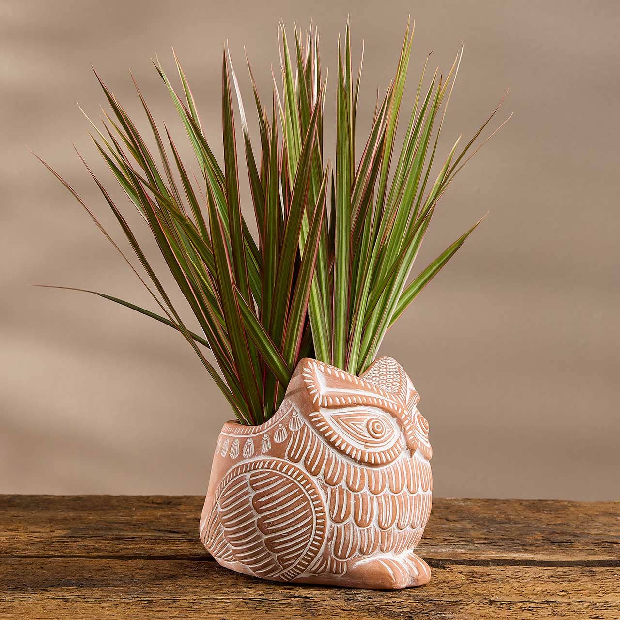SERRV International - Wholesale Plant Pot - Owl Terracotta Planter1