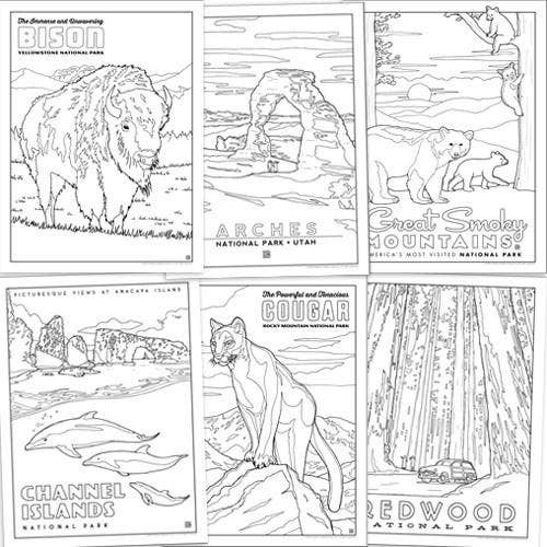 Anderson Design Group - Wholesale Coloring & Activity Book - Adult - COLORING BOOK: 63 National Parks2