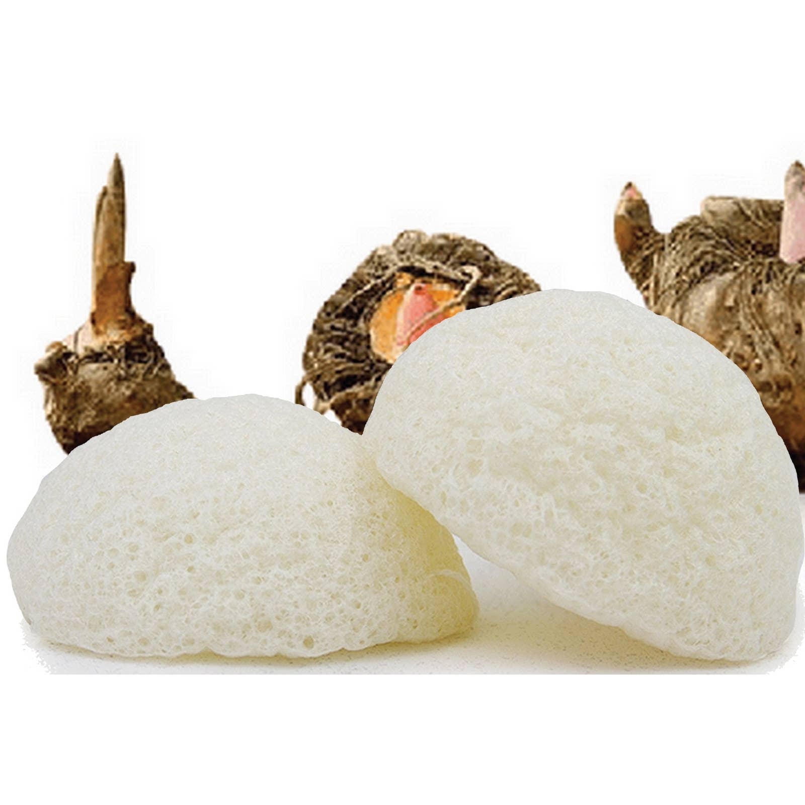 Zen'Arôme - Wholesale Makeup Sponge/Blender - 100% Natural Konjac Sponge special Eyes Nature5