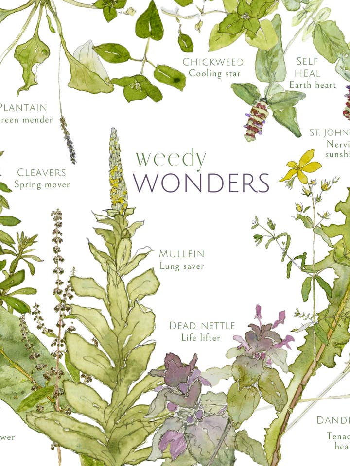 Weedy Wonders! Plakat for engroshandel hos Leafy Lexicon