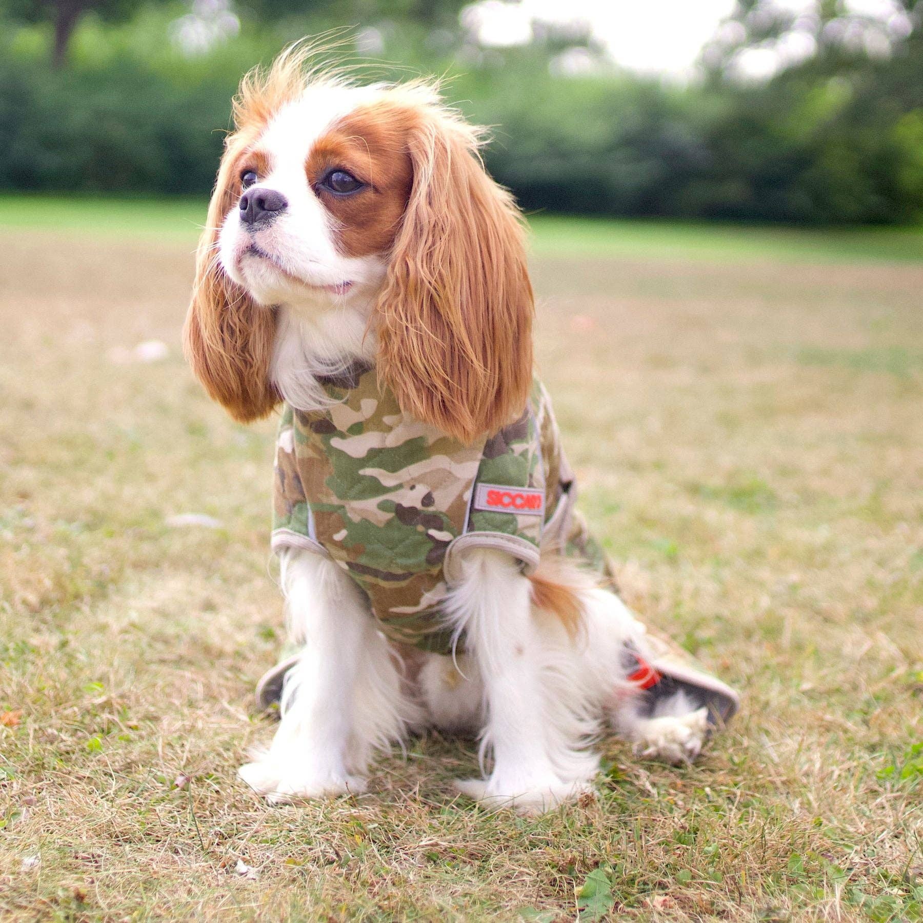 New Camo Spirit 2.0 Water-Repellent Dog Coat for wholesale on Faire6