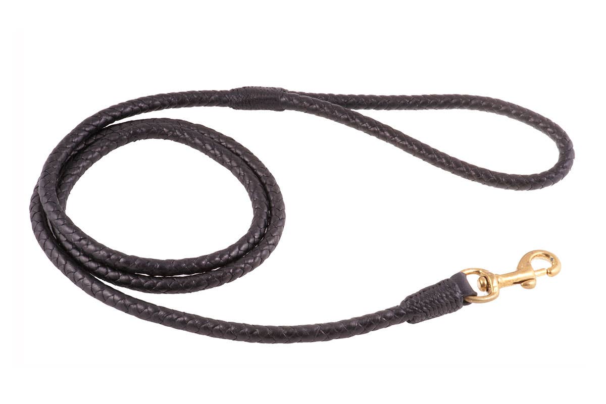 Alvalley - Wholesale Pet Leash - Dog - Braided Leather Snap Leads4