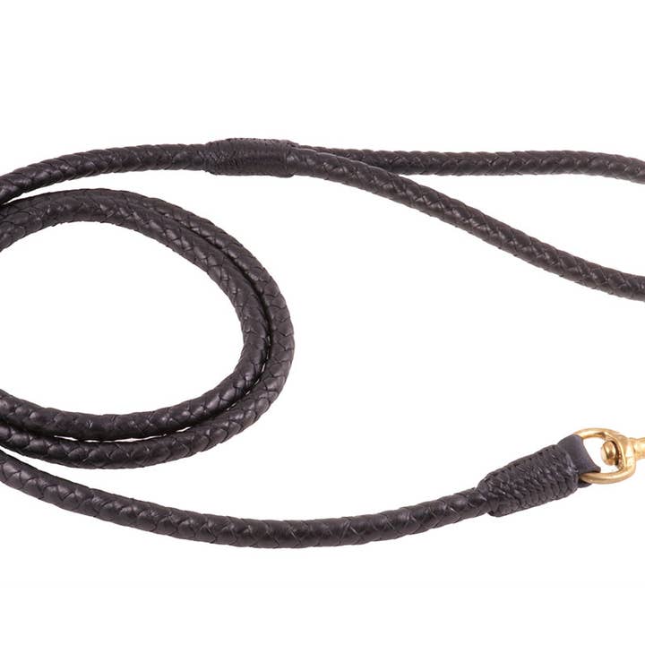 Alvalley - Wholesale Pet Leash - Dog - Braided Leather Snap Leads4