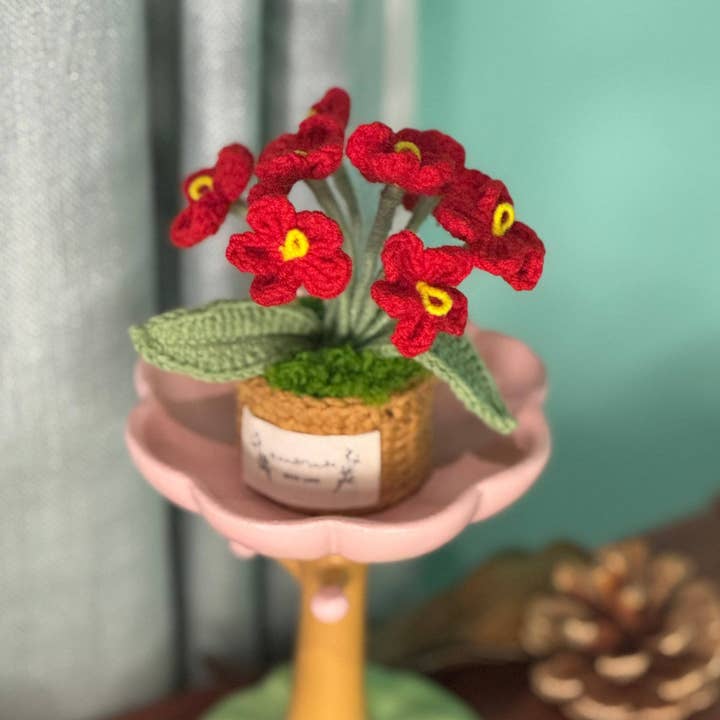 Momo & Loloc Crochet - Wholesale Artificial Plant - NEW members join Cactus Family!24