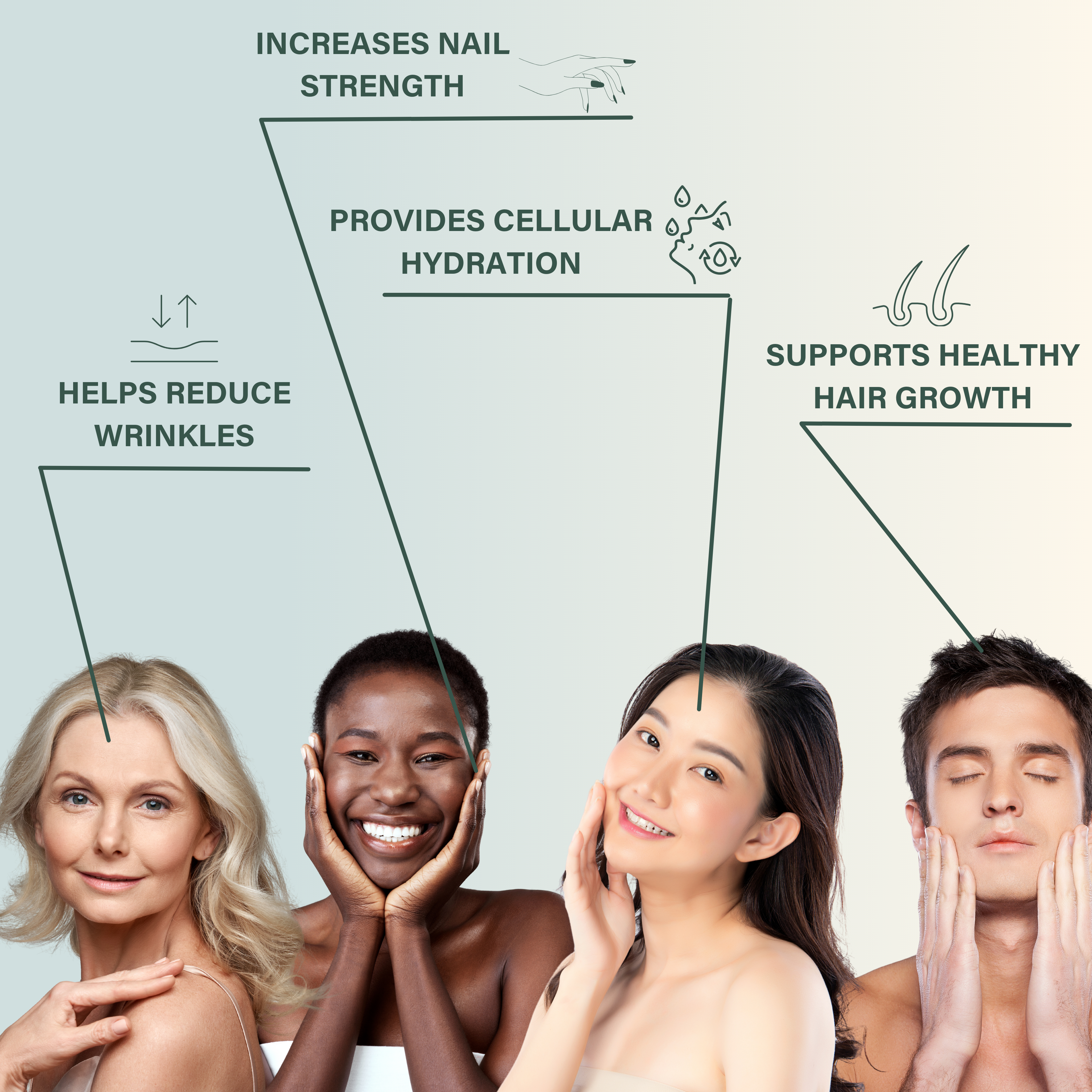 Nutri Beauties – wholesale Protein/superfood powder – NUTRI BEAUTIES Pure Marine Collagen Peptides Powder 10,000Mg14