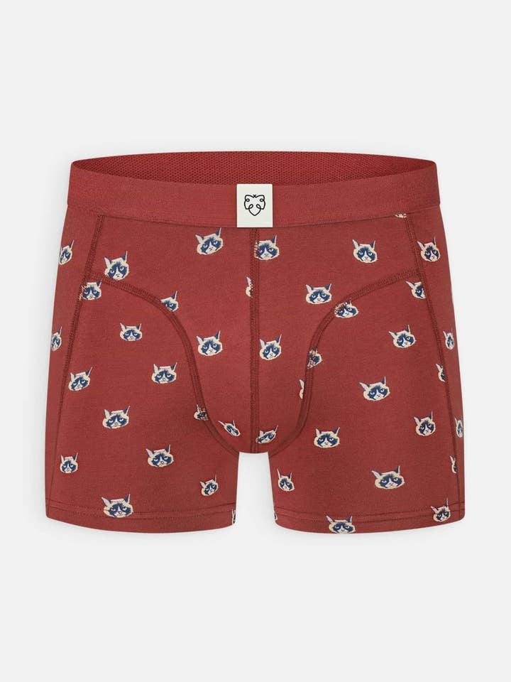 Piedra Roja Cara de Gato para venta al por mayor de Beautikini