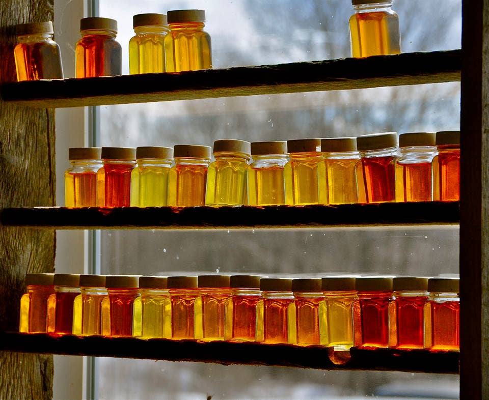 Silloway Maple - Wholesale Maple Syrup - Pure Vermont Wood Fired Maple Syrup, Gallon Amber Rich grade4