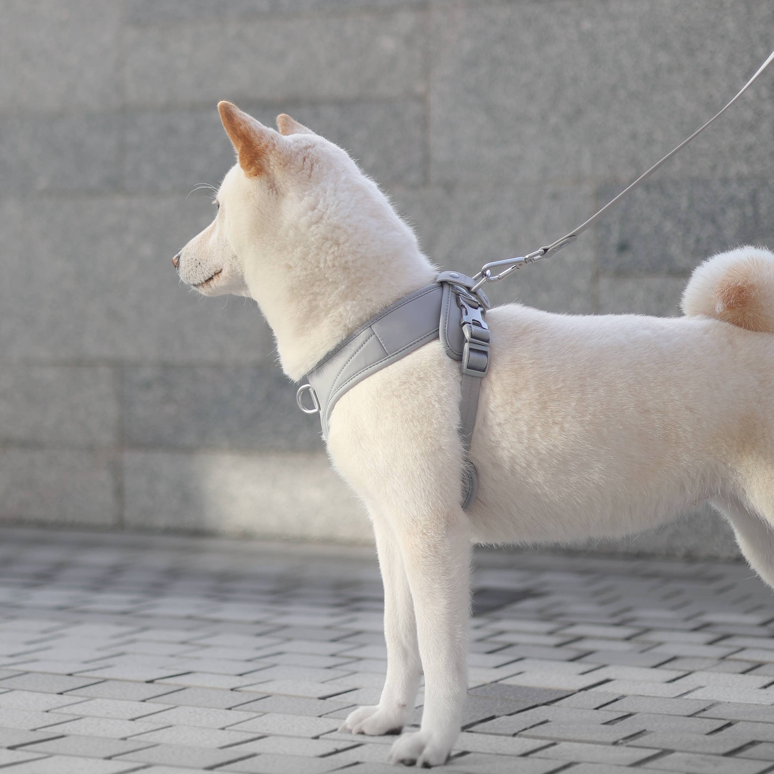 Pups & Bubs - Wholesale Pet Harness - Dog - Roam Luxe Harness (Space) | Dog Walking Gear | Dog Harness1