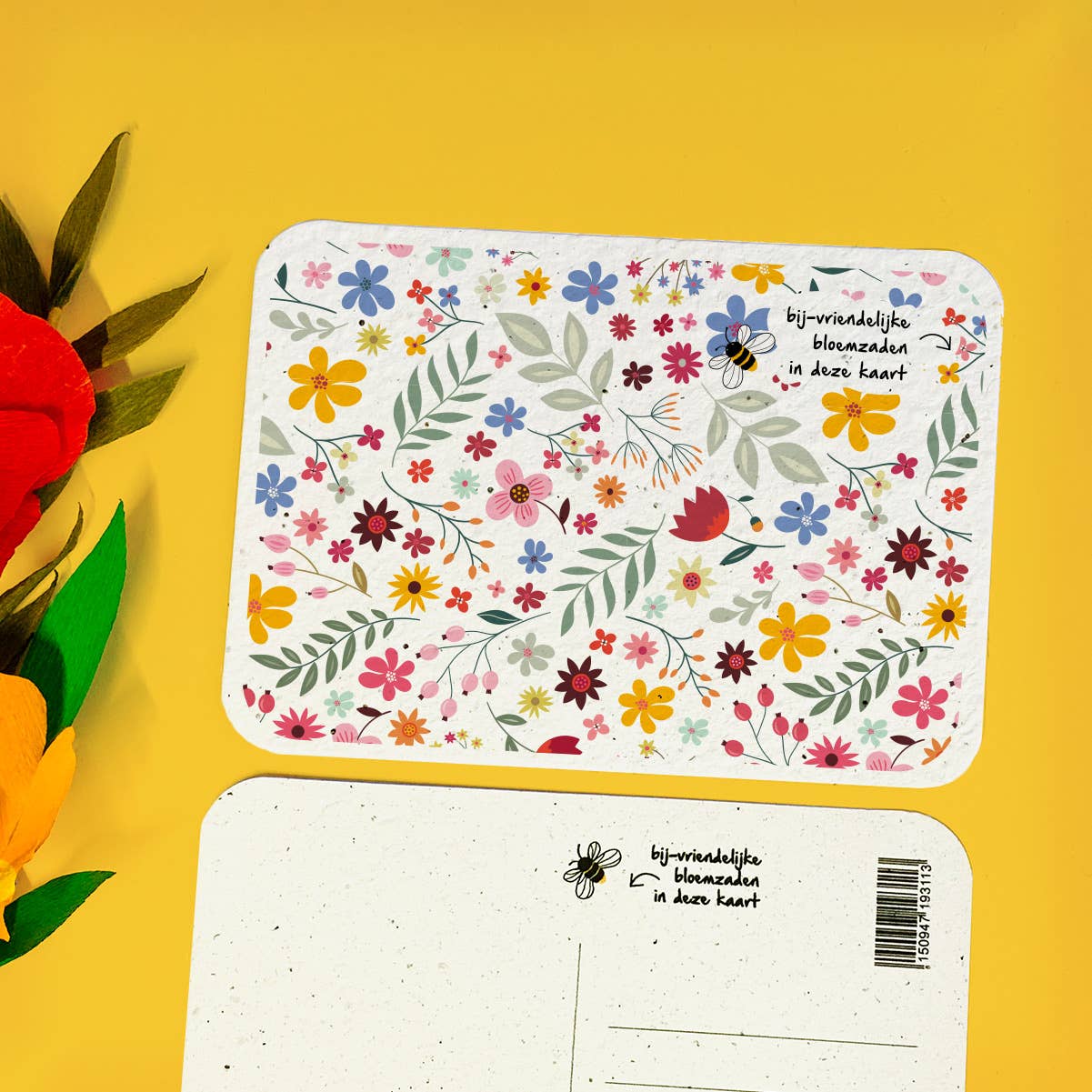 BLOOM your message - Vendita all'ingrosso Semi di piante - Cartoline piantabili con semi di fiori (set)2