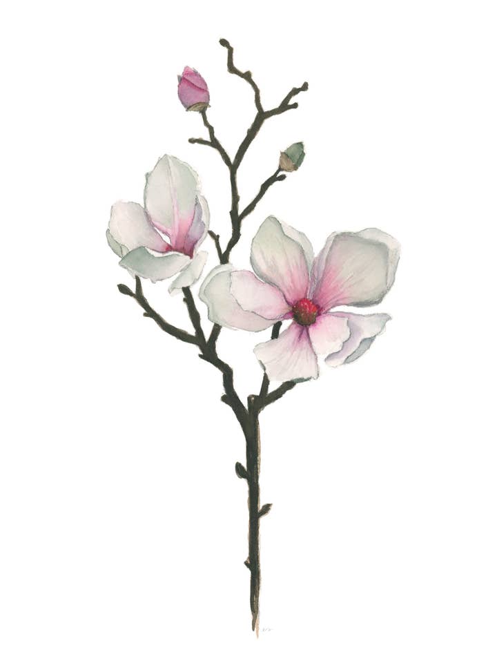 Magnolia Kunsttryk – Akvarel Botanisk Vægdekoration for engroshandel hos Art by Emma Lian