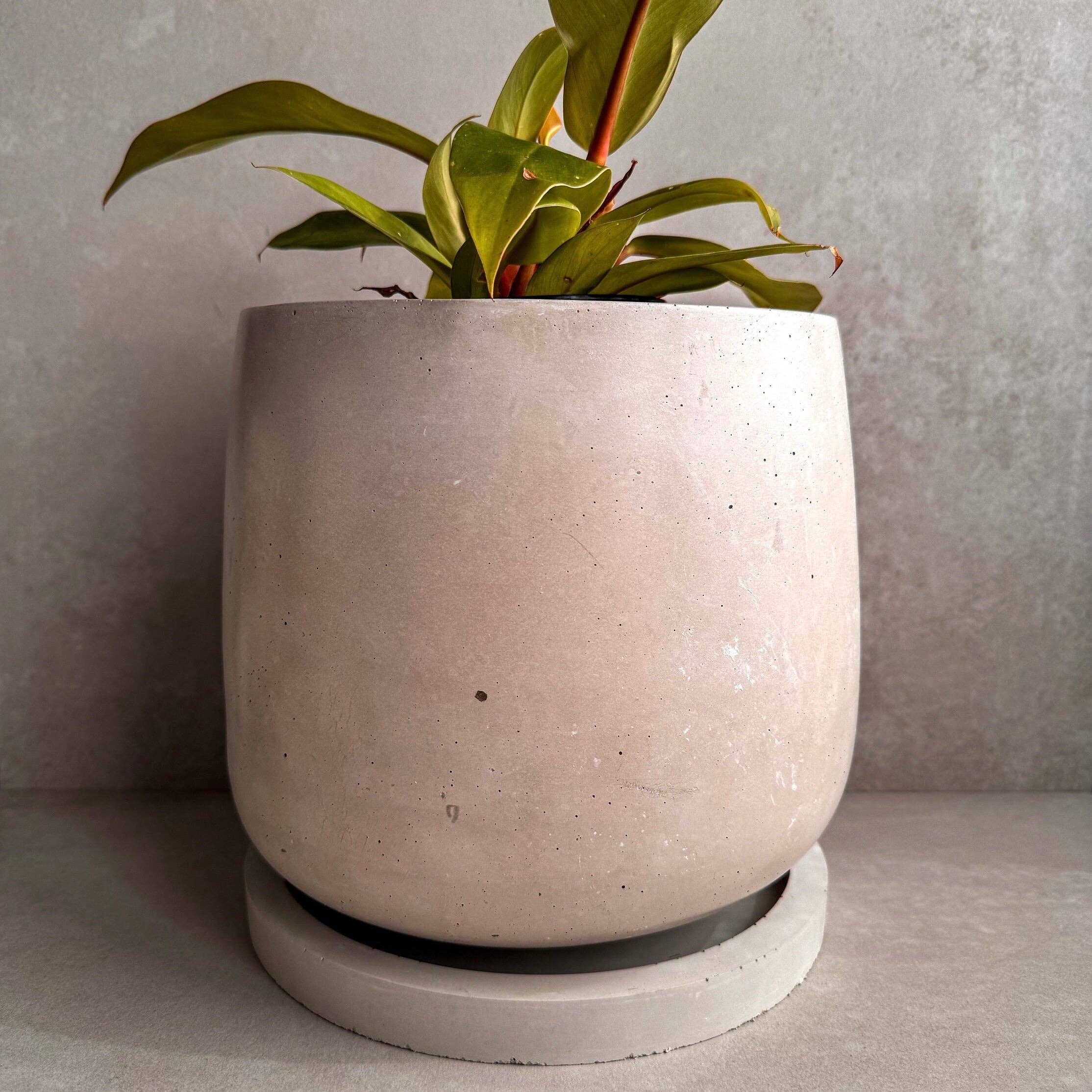 Minimal Loot Design - Vente Pot - Jardinière en béton avec soucoupe, grand pot de fleurs moderne, jardinière à bulles, pot en ciment décoratif, pot minimaliste avec drainage, grand pot nordique0