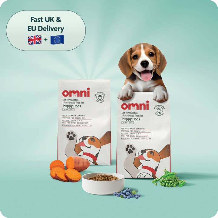 Growing Puppies for wholesale by Omni