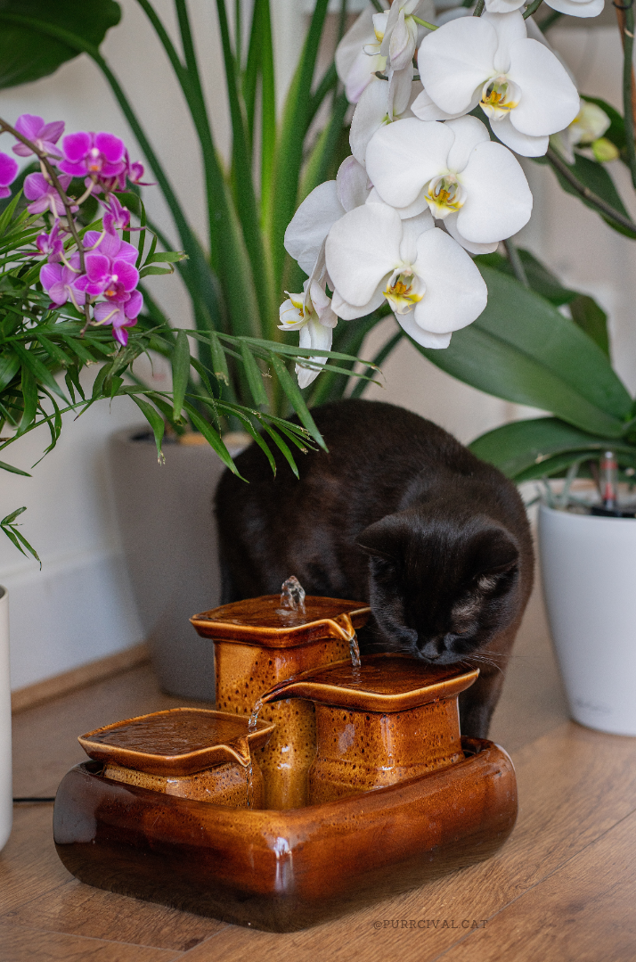 Miaustore – wholesale Pet bowl – Cat/dog – Cat fountain ceramic standard1